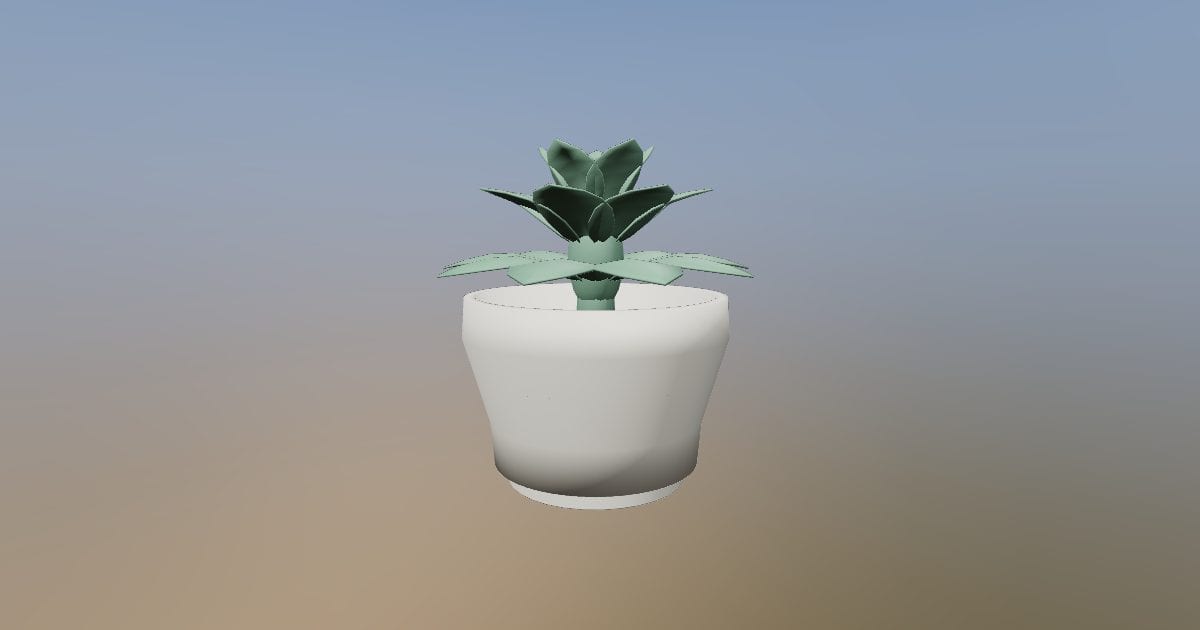 Potted rosette succulent