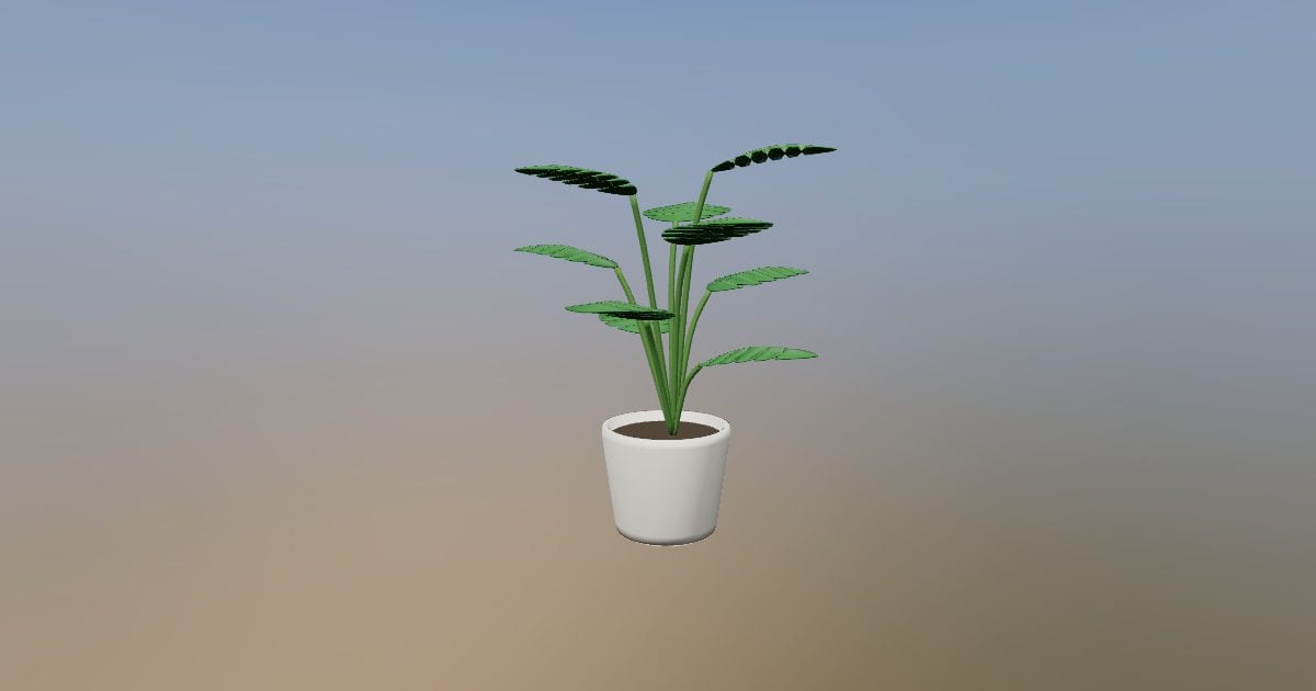 Potted split leaf monstera