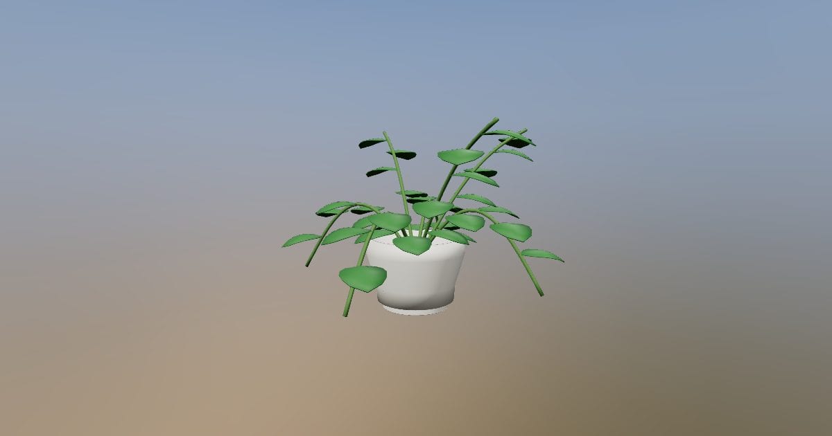 Potted trailing pothos