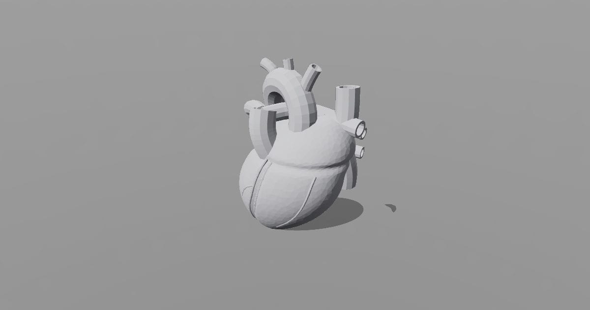 Printable heart study model