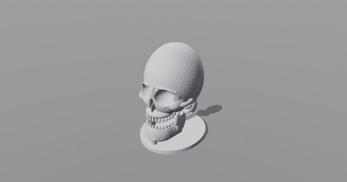 Printable skull study model