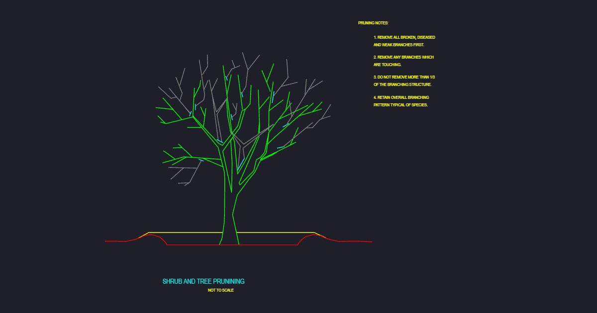 Pruning Detail (USFS FLP1)