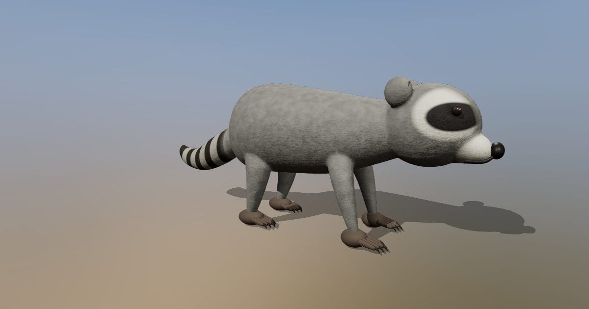 Raccoon