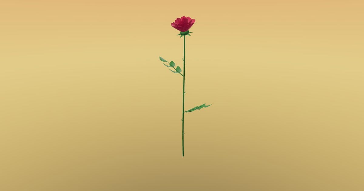 Rose flower with stem