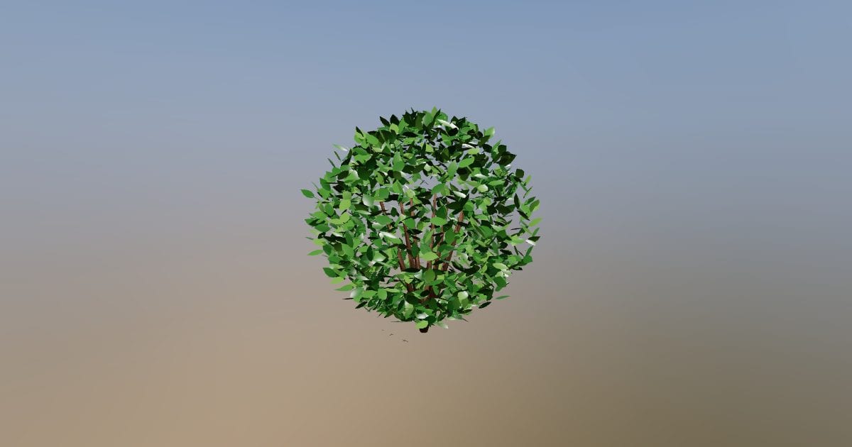 Rounded landscape shrub
