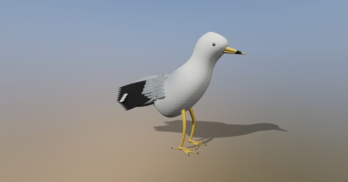 Seagull