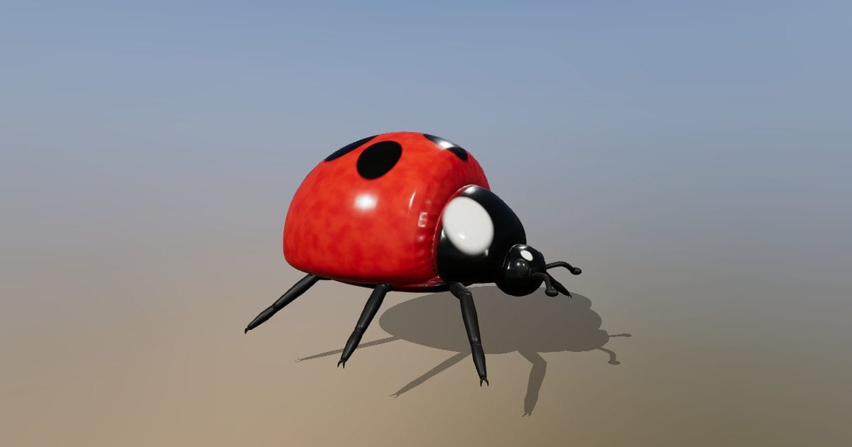 Seven-spot ladybird