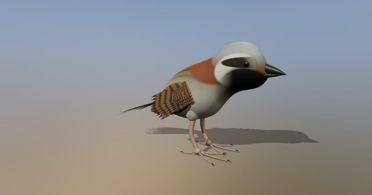 Sparrow
