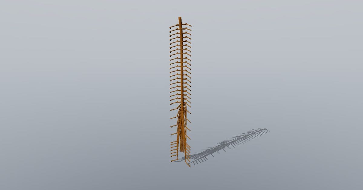 Spinal cord with nerve roots