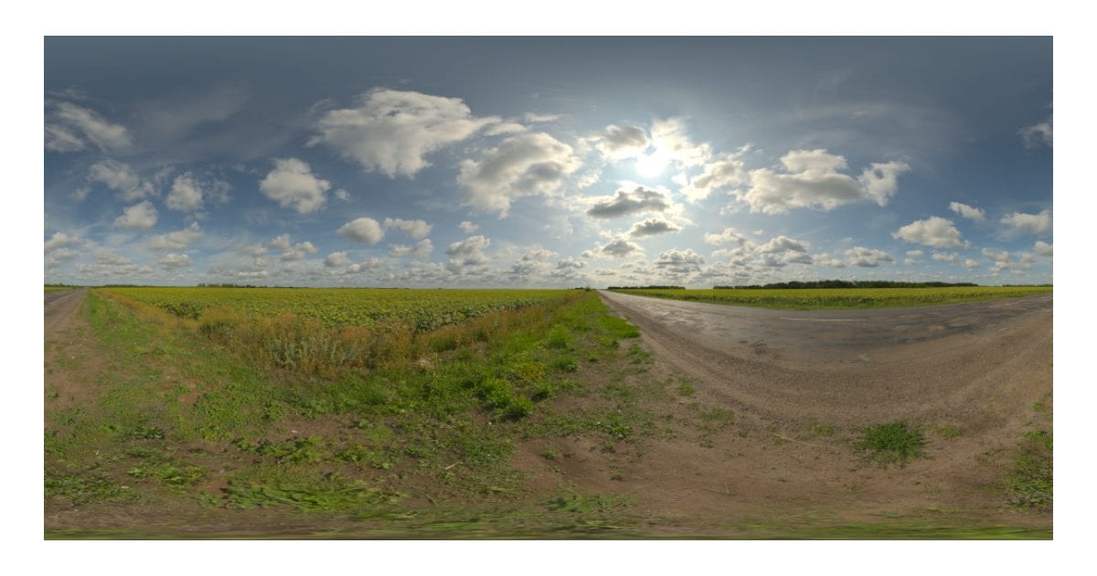 Sunflower field by a road (EXR)