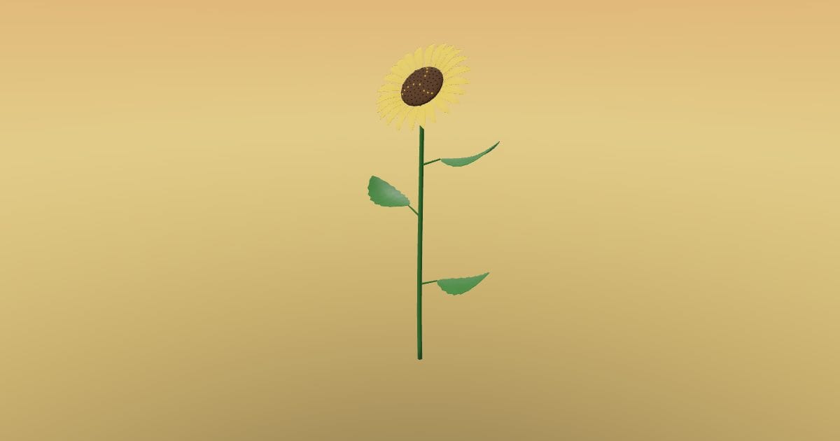 Sunflower with stem
