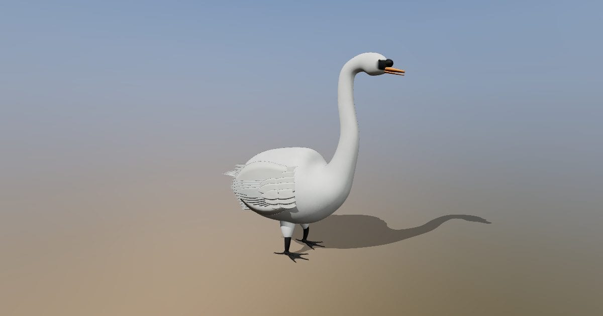 Swan
