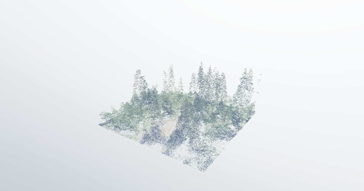 Temperate rainforest stand, aerial LiDAR (PTS)