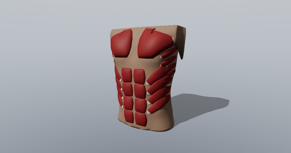 Torso and abdominal wall muscles