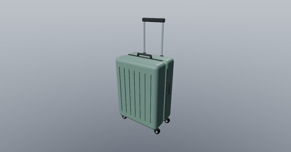 Transit Case - Travel Storage