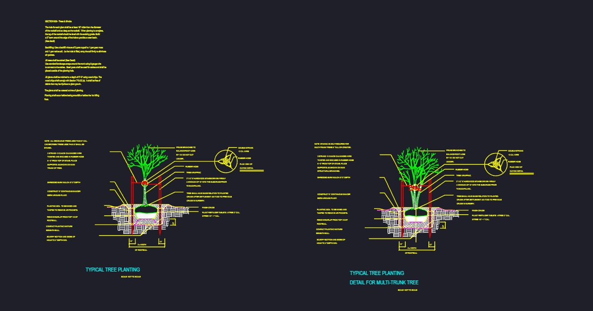 Tree Planting/Multi-Stem (USFS FLT2)