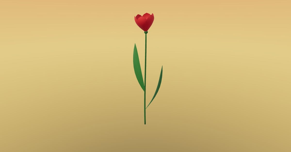 Tulip flower with stem