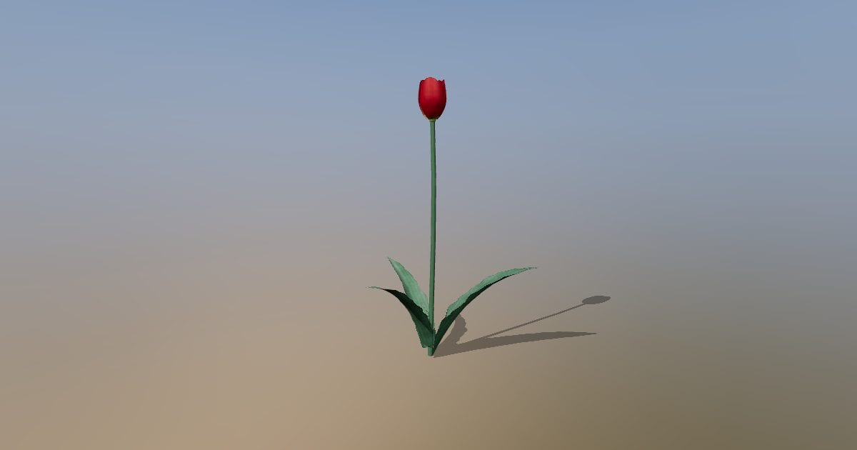 Tulip / tulipan flower (red)