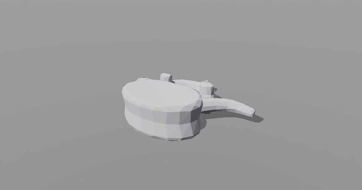 Vertebra study model