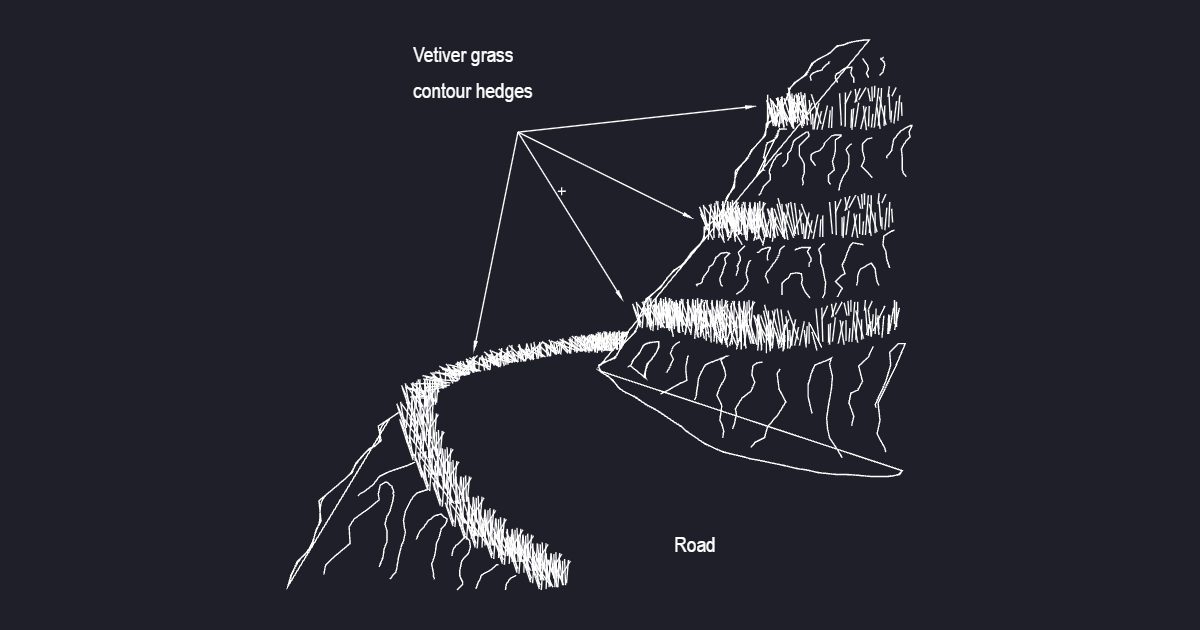 Vetiver Grass Contour Hedges (USFS Fig41)
