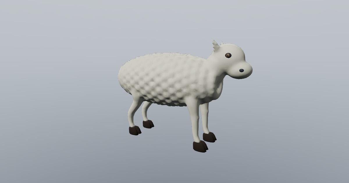 Wool sheep