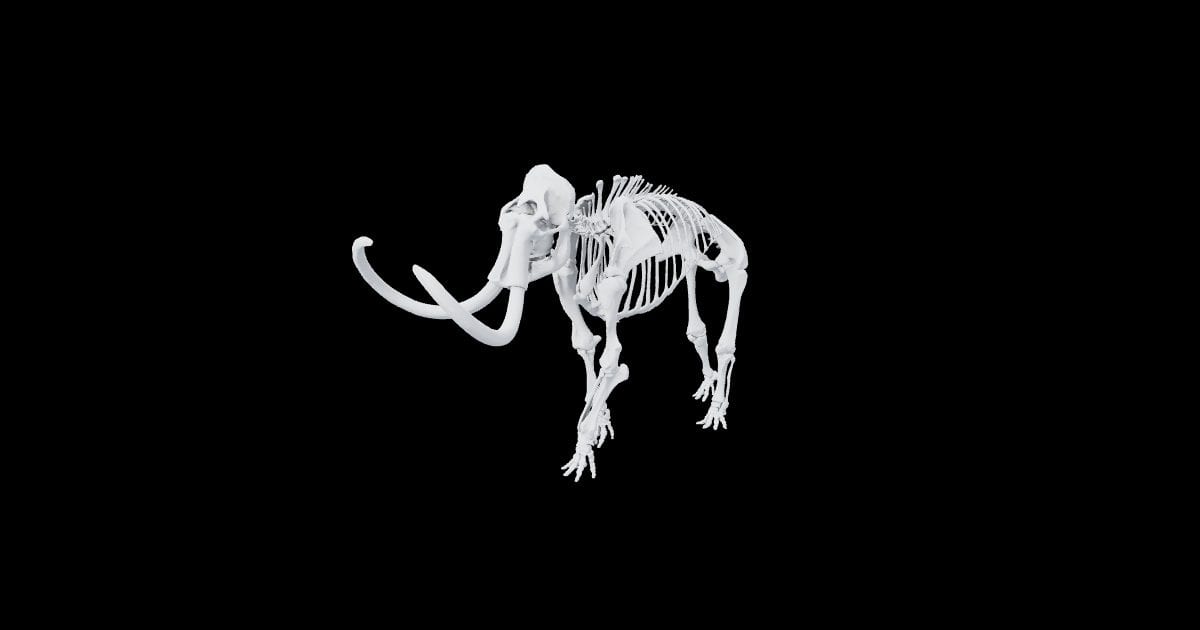 Woolly mammoth skeleton
