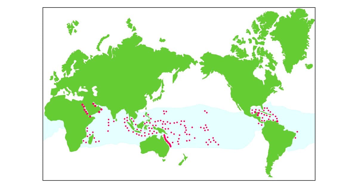 World coral distribution map: Free AI 2D drawing (CC0) | Innerscene ...