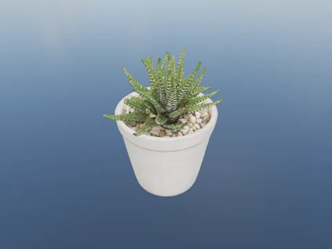 Potted plant